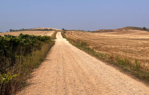 Foto de El Camino Francés a pie