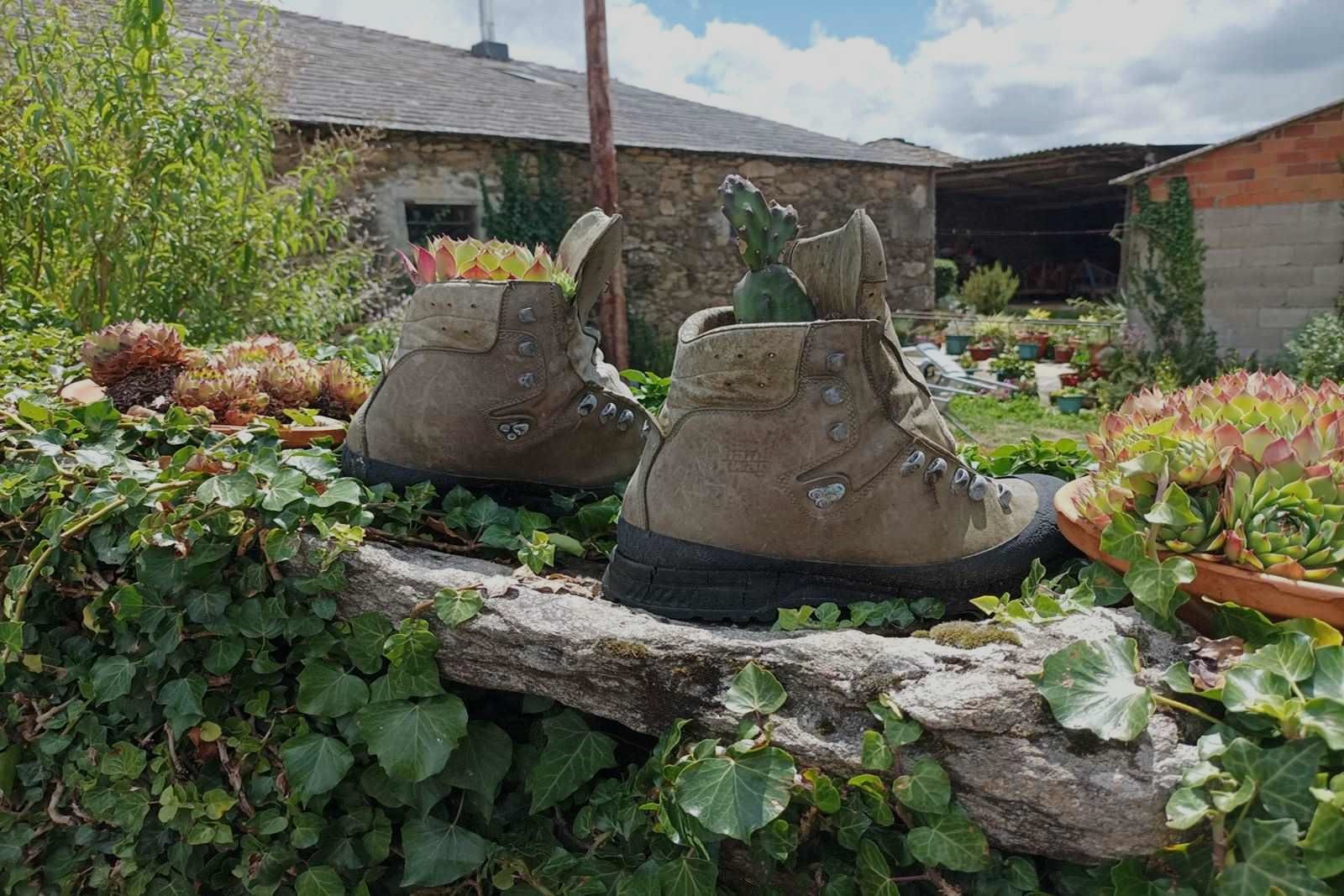 Camino Francés a pie desde Sarria hasta Santiago: últimas 5 etapas