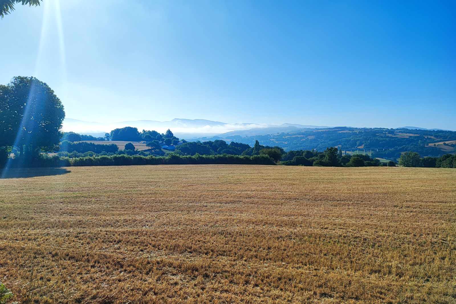 French Way on foot (shorts stages) from Sarria to Santiago: 7 stages