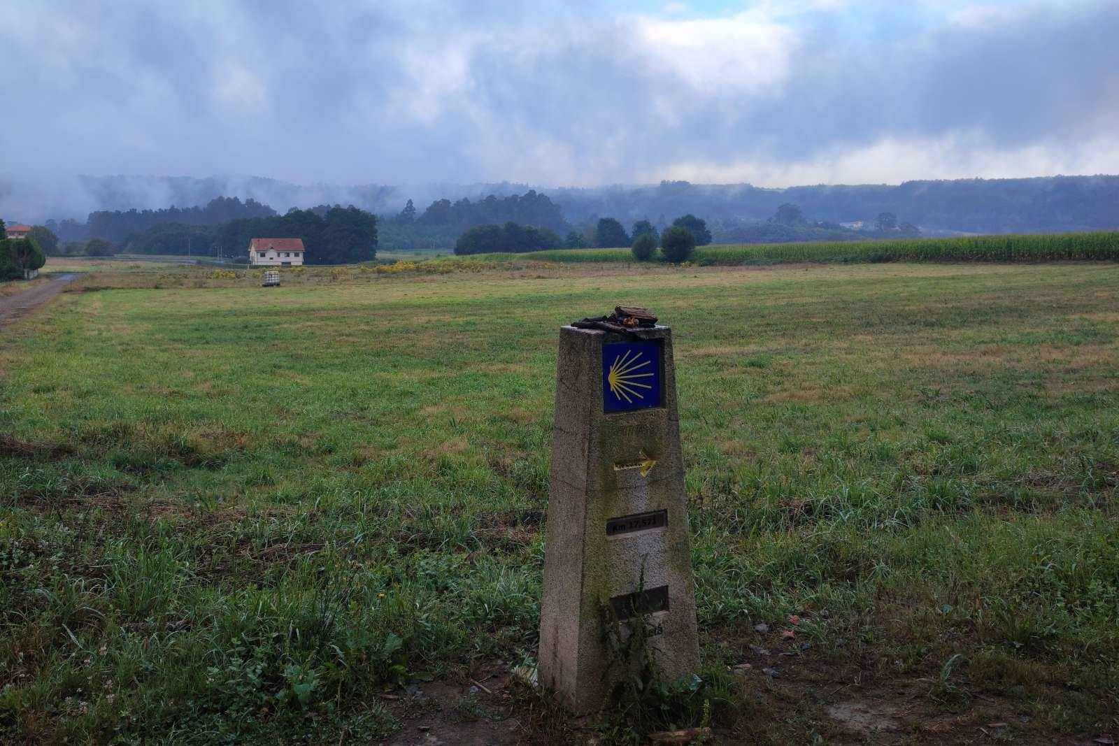 Camino Francés a pie desde Roncesvalles hasta Santiago: 34 etapas / 40 días