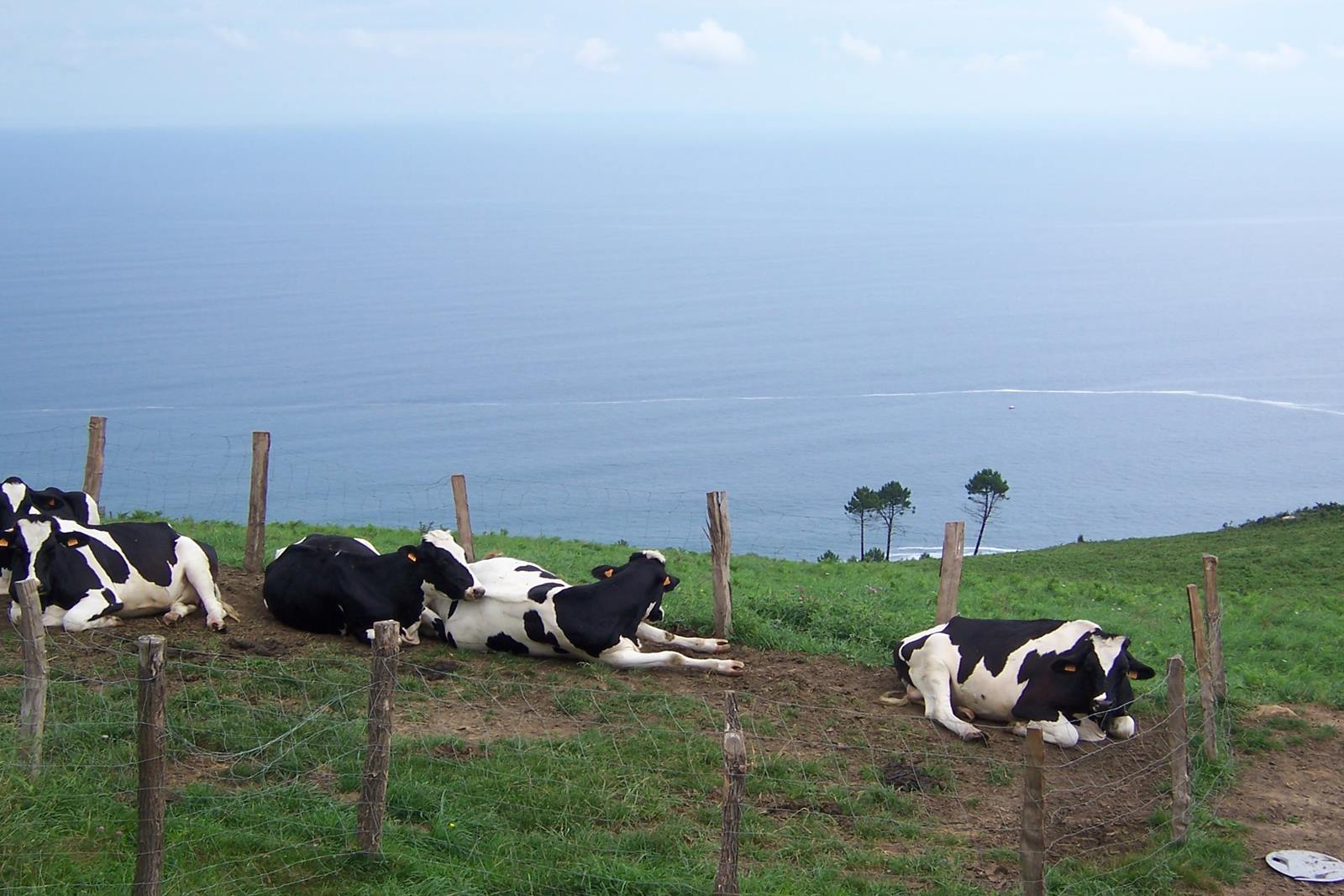 Camino del Norte a pie desde Irún hasta Santander: 12 etapas