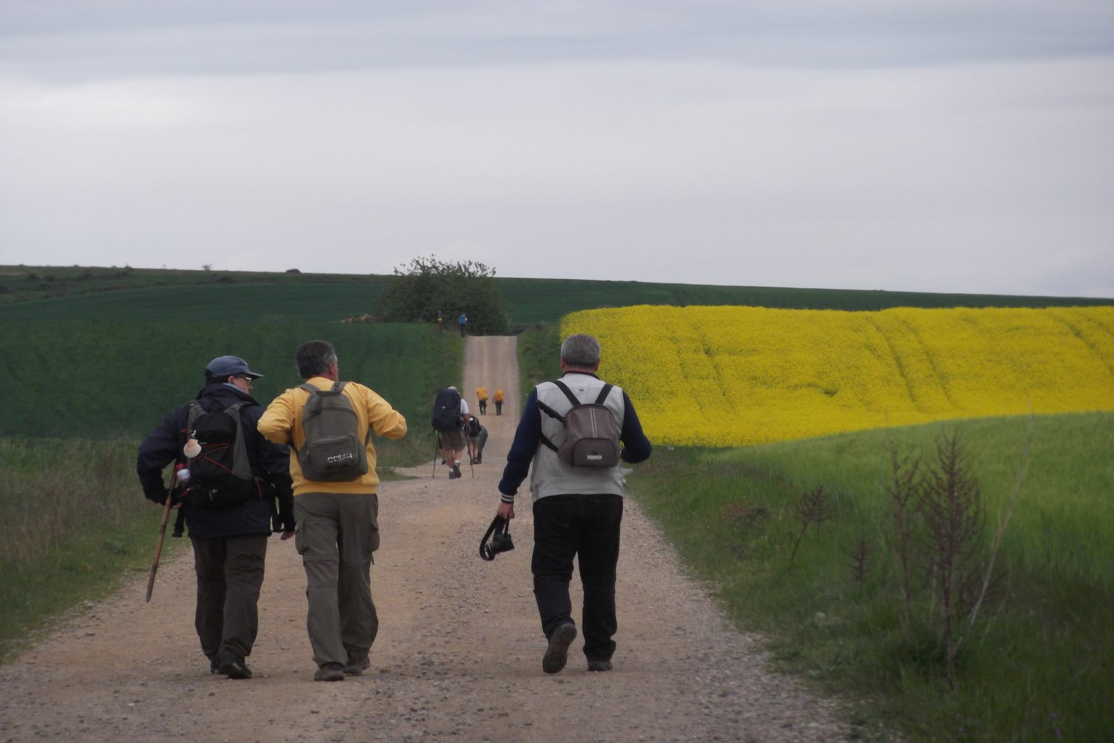 French Way on foot from Roncesvalles to Santiago: 34 stages - 36 days